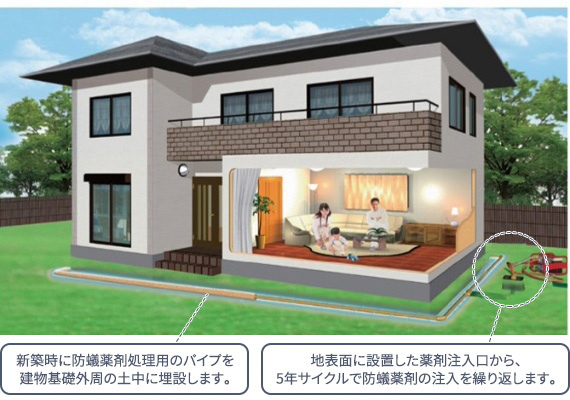 長寿命の家づくり|外断熱+結露防止+防蟻対策で構造を守る