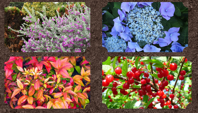 おすすめのサブツリー