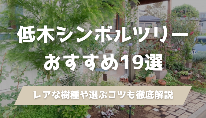 低木のシンボルツリー19種を家づくりのプロが厳選。玄関先に合う常緑・落葉の選び方、日当たり・虫・成長スピードのチェックポイント、サブツリーとの組み合わせ方までわかります。